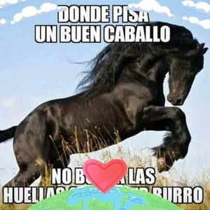 Meet your Posher, Arnaldo